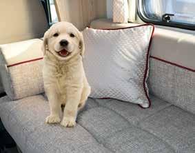 fabric upholstery benefiting from