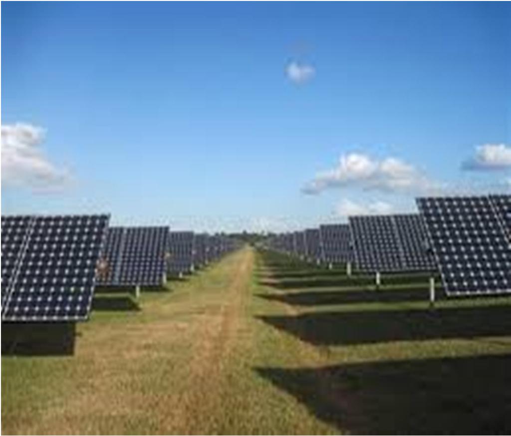 Community Solar Panels are part of a large ground array.
