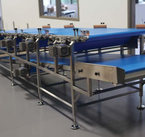 Design & Application Examples This example of a CleanMove Plus features epoxy painted motors,