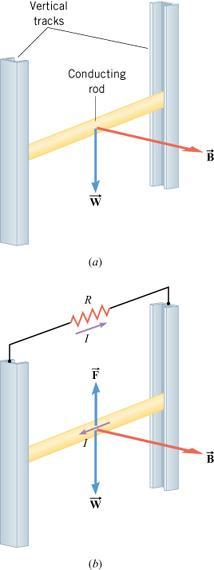 22.2 Motional Emf Conceptual Example 3 Conservation of Energy A conducting rod is free to slide down between two vertical copper tracks. There is no kinetic friction between the rod and the tracks.