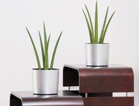 American Metallic Features Made in the USA Lightweight and durable Manufactured with recyclable, commercial grade polystyrene Hot stamped metallic finishes Metallic Tabletop & Floor Planters Tabletop