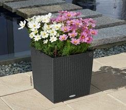 European Features 100% recyclable Unmatched German quality Designed