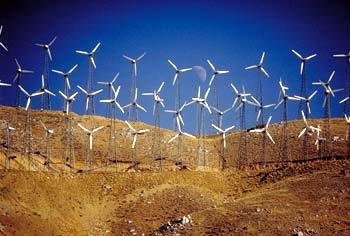 1980, California, USA Result of Californian environmental laws Small turbines <100kW Many synchronous generators Turbine