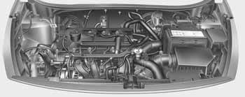 Vaše vozilo na prvi pogled PROSTOR ZA MOTOR Bencinski motor (1,25L) Bencinski motor (1,4L) 1. Posoda hladilne tekočine motorja...7-36 2. Pokrovček hladilnika.