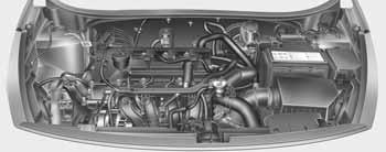 Vzdrževanje PROSTOR ZA MOTOR Bencinski motor (1,25L) Bencinski motor (1,4L) 1. Posoda hladilne tekočine motorja 2.