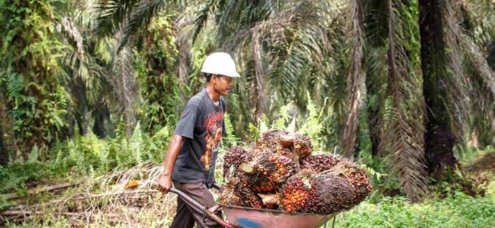 RSPO members who make false or misleading claims will face sanctions from the RSPO.
