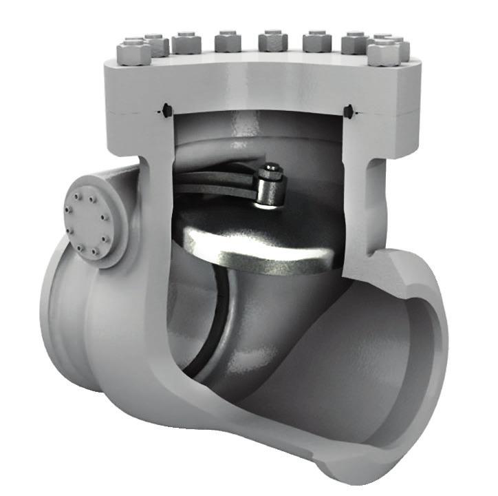 check valves swing check check valve Bolted bonnet and Pressure seal design available Metal and