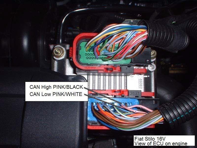 Fiat Stilo Wire Colours CAN HIGH PINK / BLACK CAN