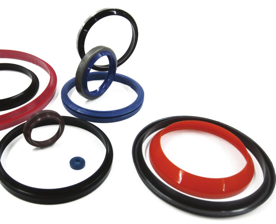 6 DT Seals: The Seal and Bearing Experts Wiper Seals The Wiper Seal range includes Metal Case (AS) and Rubber Covered (RS) push fit wipers.