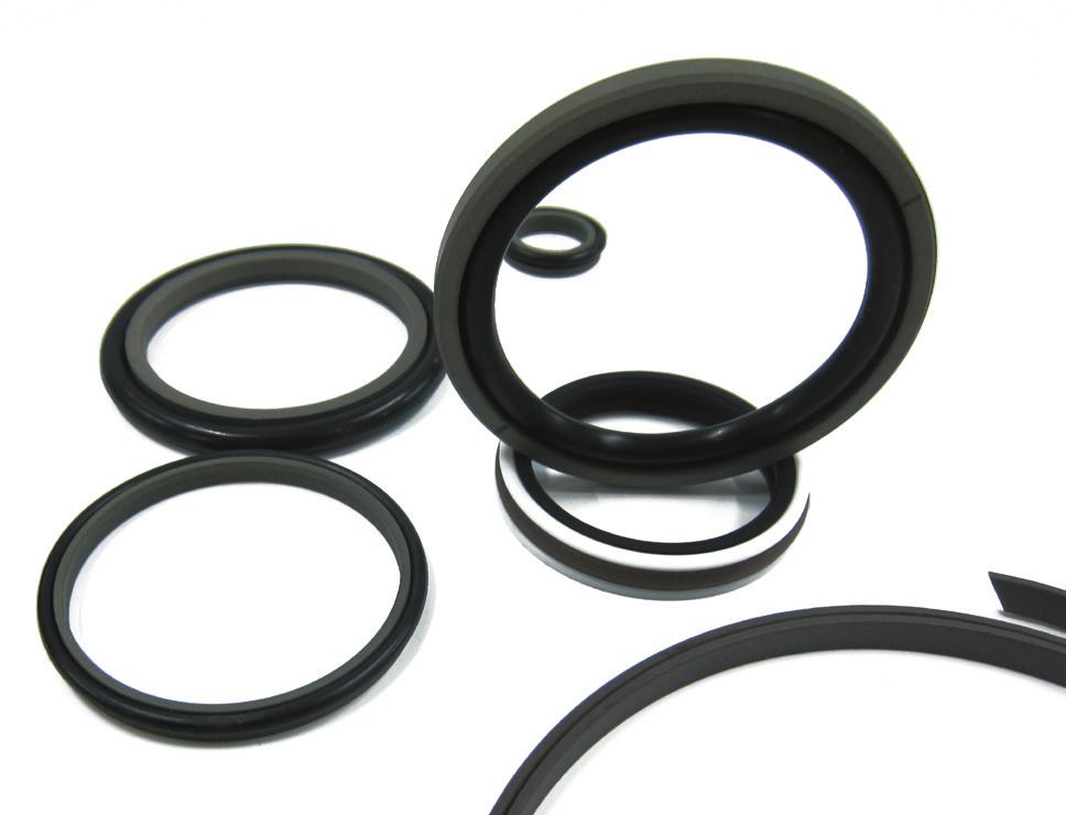 DT Seals: The Seal and Bearing Experts 7 PTFE Parts We stock a vast range of Rod and Piston working PTFE composite seals.