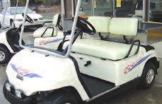 GOLF CAR GRAPHIC KITS PIN STRIPES Inexpensive way to dress up a cart. 8-piece kits with the latest in high-resolution technology. Enough per kit to cover one cart.