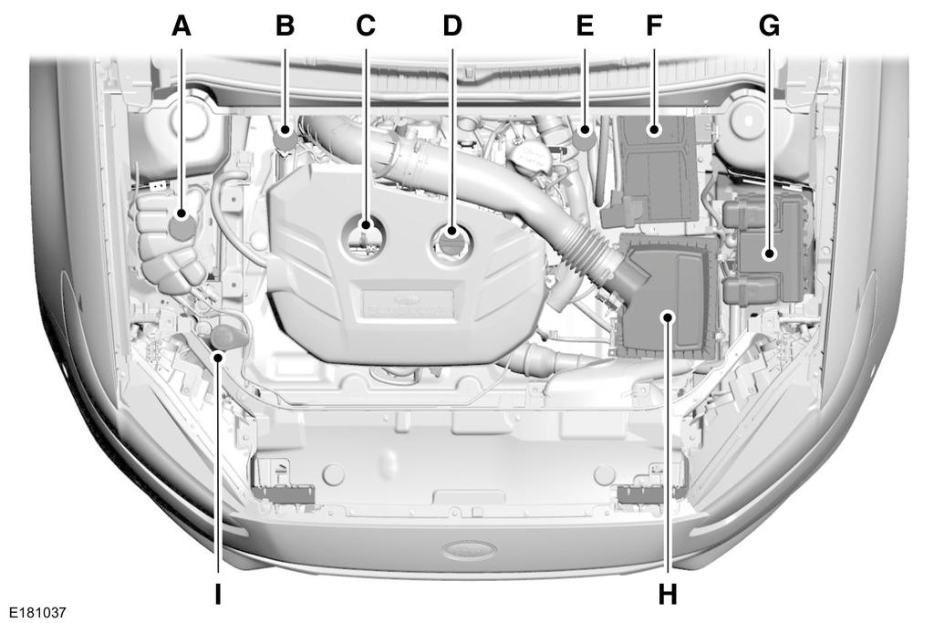 Maintenance UNDER HOOD OVERVIEW - 2.0L ECOBOOST A. B. C. D. E. F. G. H. I. Engine coolant reservoir. See Engine Coolant Check (page 247). Brake and clutch fluid reservoir (right-hand drive).