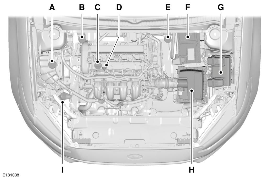 Maintenance UNDER HOOD OVERVIEW - 2.5L A. B. C. D. E. F. G. H. I. Engine coolant reservoir. See Engine Coolant Check (page 247). Brake and clutch fluid reservoir (right-hand drive).