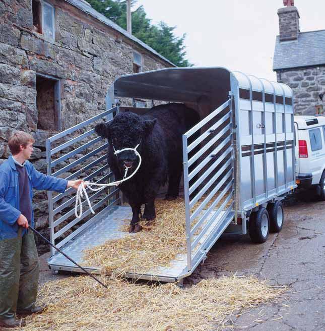 Ifor Williams Livestock Trailers Located in rural North Wales, we have grown up in the agricultural community, employing local people with farming links.