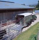 The award winning EasyLoadTM ramp and folding deck system have been designed to enable the handler to load two decks of sheep without having to manhandle large weights.