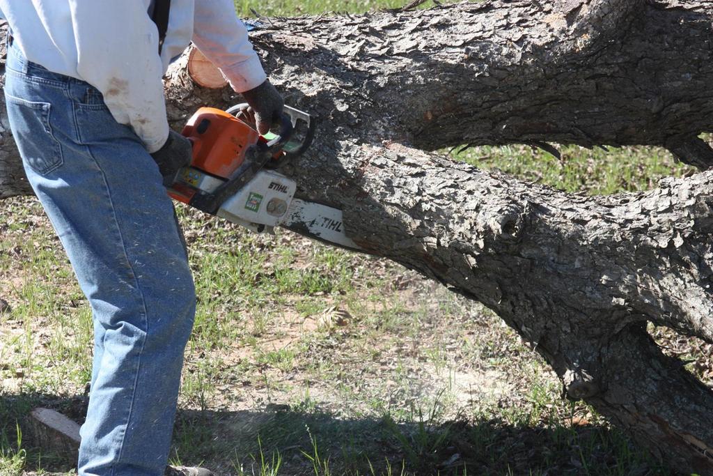 Chain Saws are used for