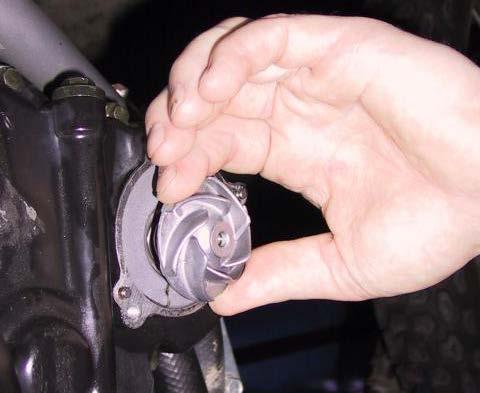 With the nut and washer off, slowly rotate the impeller counterclockwise as you gently pull back on it, as shown above.
