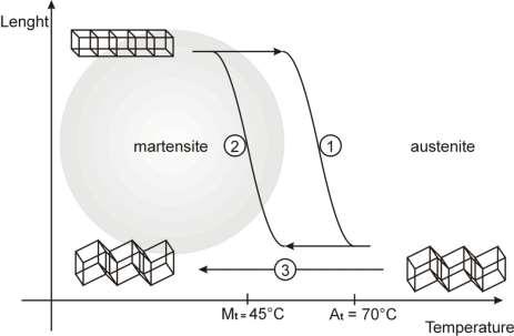 SMA - Principle of function Austenite Martensite transformation.