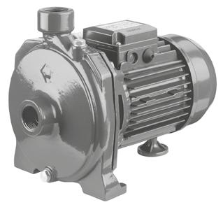 Cast iron single impeller centrifugal electric pump.
