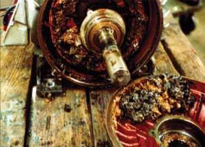 Figure 8. Overgreasing caused inside of motor to fill with grease.