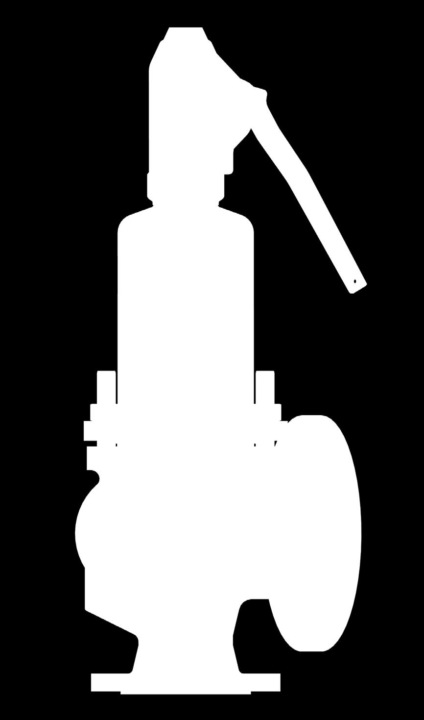 steam safety valves