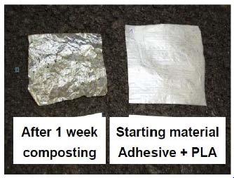 The Key to Compostability, Aliphatic Linear Polyester Hydrolysis