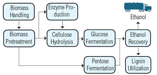 Cellulosic Ethanol Cellulosic Ethanol (Enzymatic or Acid Hydrolysis then Fermentation/Distillation) Feedstocks: Stovers, straw, switchgrass, etc.