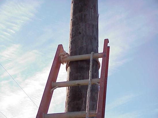 The following illustrates a means of securing a ladder to the pole before ascending it.