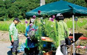 Traveling Vegetables Class The Yanmar Hobby Farming Shop (Osaka) staff go to local