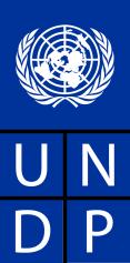 United Nations Development Programme Recovery and Crisis Prevention برنامج األمم المتحدة اإلنمائي Iraq