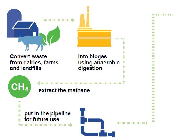 Renewable Natural Gas (RNG) Reduces GHG emissions up to 90% compared to diesel Some anaerobic digesters reduce GHG by 115%
