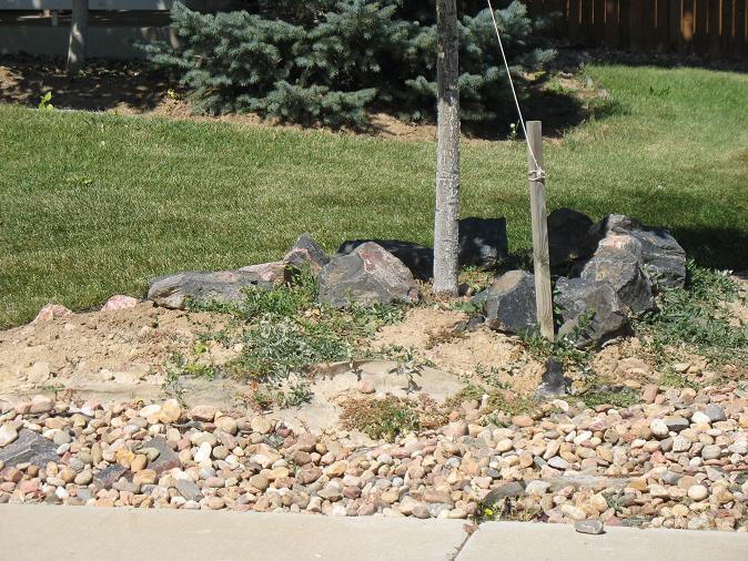 rock bed Example #4 Untrimmed grass growing inside tree
