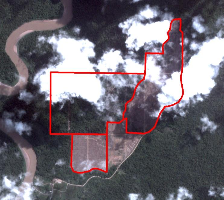 Alert Imagery (before and after satellite images) Date: May 2, 2018 Date: June 22, 2018 Ownership Information Family ownership Tuan Junus Sutiono and Tuan Watson Dharma PT