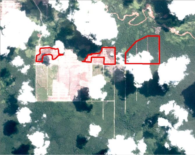 Alert Imagery (before and after satellite images) Date: June 22, 2018 Date: July 24, 2018 Ownership Information Group ownership Evershine Asset Corporation and Everbright Resources Corporation PT