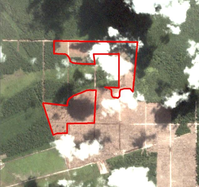 Alert Imagery (before and after satellite images) Date: June 3, 2018 Date: July 6, 2018 Ownership Information Group ownership: Samuel International Group PT Prasetya Mitra Muda is 49.