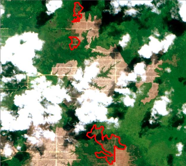 Alert Imagery (before and after satellite images) Date: May 25, 2018 Date: July 9, 2018 Ownership Information Group: Austindo Nusantara Jaya Tbk (ANJ Group) PT Permata Putera Mandiri