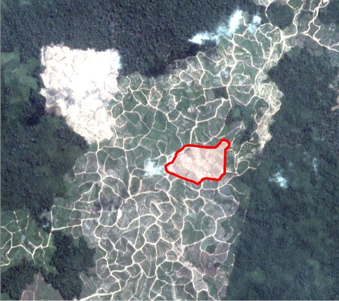 Alert Imagery (before and after satellite images) Date: June 22, 2018 Date: July 16, 2018 Ownership Information Group ownership: Tsani Hutani Abadi Group PT Rayatama Jaya is part of the Tsani Hutani