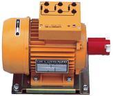 46 A Δ/Y Speed: 3000 rpm Excitation:190 V / 0.