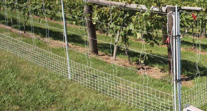 Troubleshooting Electric Fences Is the problem with the energizer or the fence? 1. To check first turn off the energizer. 2. Then disconnect the wires going to the fence and ground rod system. 3.