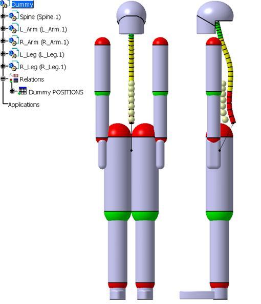 Dummy s Structure THE WHOLE BODY The body of the dummy is composed of 5 main sub-systems: 1 spine sub-system; 2 arms sub-systems; 2 legs sub-systems. VALENTINI, P.