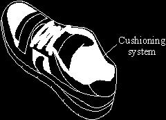 (b) Many running shoes have a cushioning system.