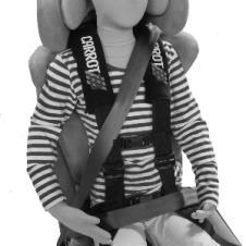 G It is required by law to use the vehicle's lap shoulder (3-point) safety belt at the same time to secure a child seat and child.