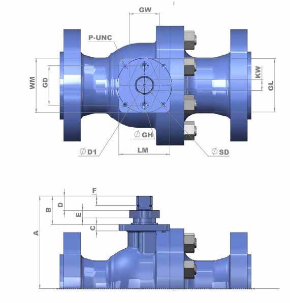 GWC ITALIA Proven technology for individual valve