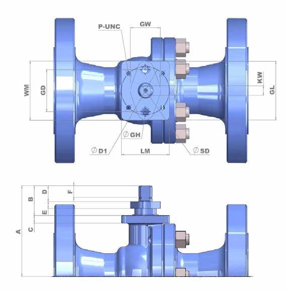 GWC ITALIA Proven technology for individual valve