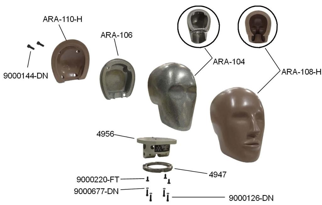 Head Assembly Harmonized ARA-103-H Head Assembly 1 ARA-108-H Headskin, BioRID 1 ARA-104 Skull, BioRID II 1 ARA-106 Skull Cap, BioRID II 1 ARA-110-H Capskin, Molded, BiORID 1 4956 Structural