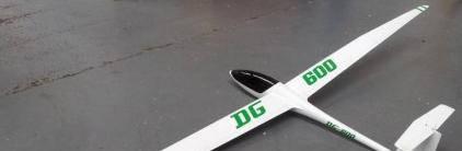 DG600 T vail scale model wing tip designed separately white with green(sticked) Wing Span: 3.