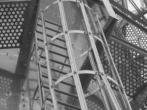 Inside Ladder Installations BROCK MEYER Walkways and Ladders Internal Service Platform Ladder Access Continue the