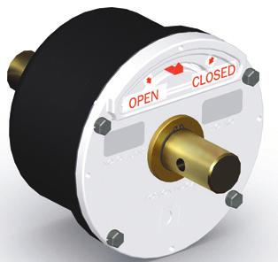 module is added to the standard worm gear, providing a highly adjustable memory stop.