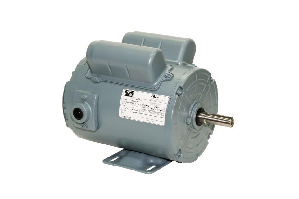 Standard features such as v-rings on totally enclosed motors provide versatility for