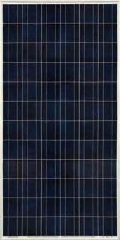Polycrystalline Solar Modules SUNGEN SGM-P Series 240W/250W/260W/270W/280W Polycrystalline Solar Modules SUNGEN SGM-P Series 240W/250W/260W/270W/280W 978.5(38.5) 990(39.0) 900(35.4) 990(39.0) 990(39.